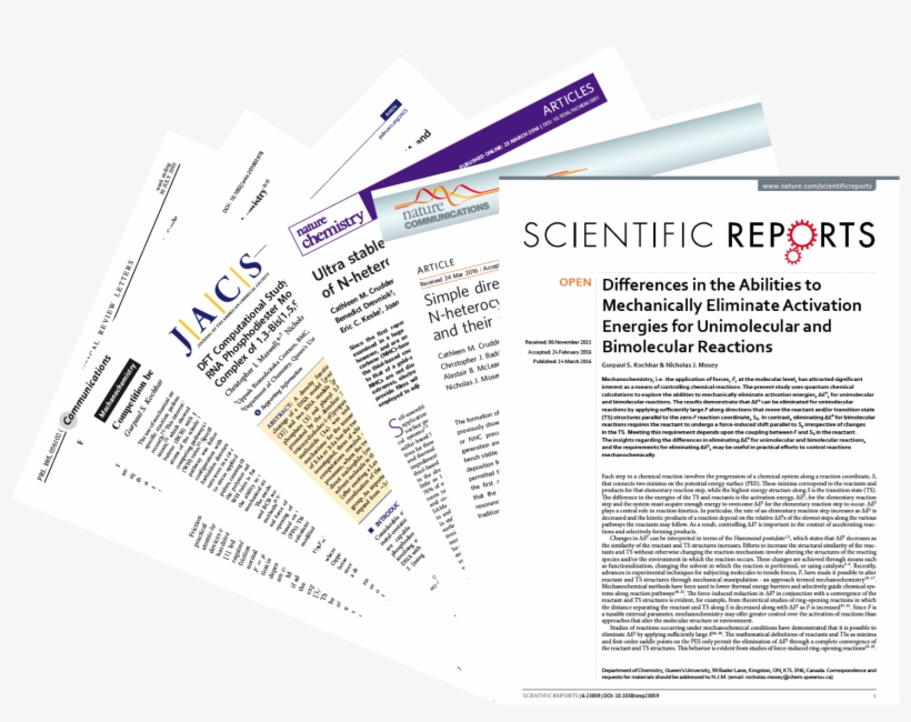 “what Sets [their] Publications Apart From The Broad - Brochure, transparent png