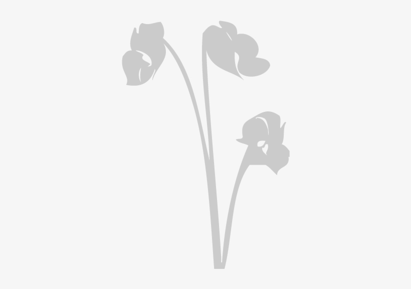 Silhouette, transparent png