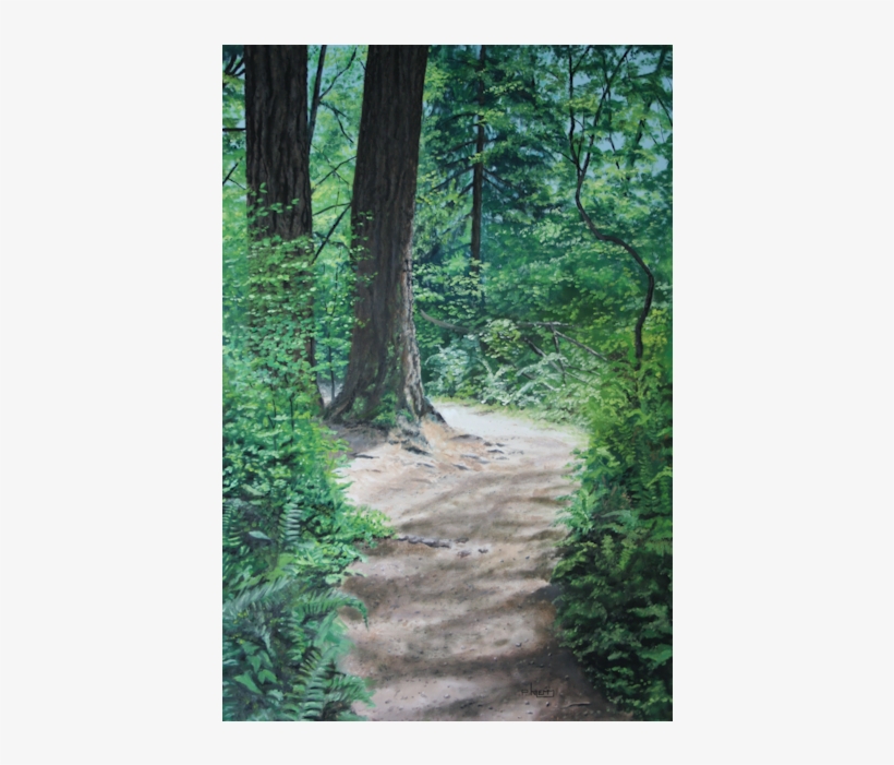 Trail, transparent png