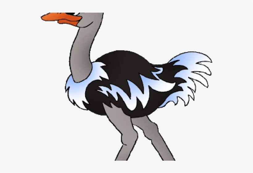 Ostrich Sentence, transparent png