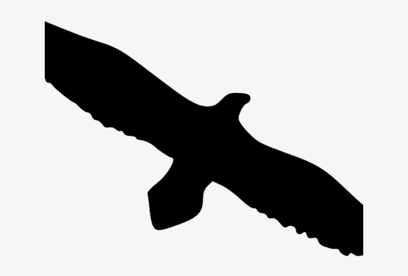 Bald Eagle Silhouette Clip Art, transparent png