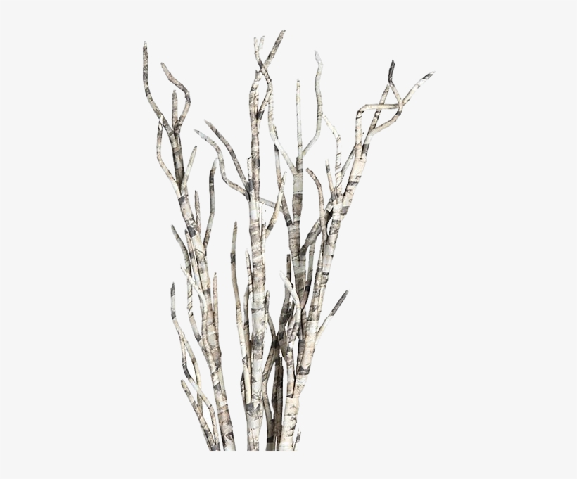 Twig From Paper, transparent png