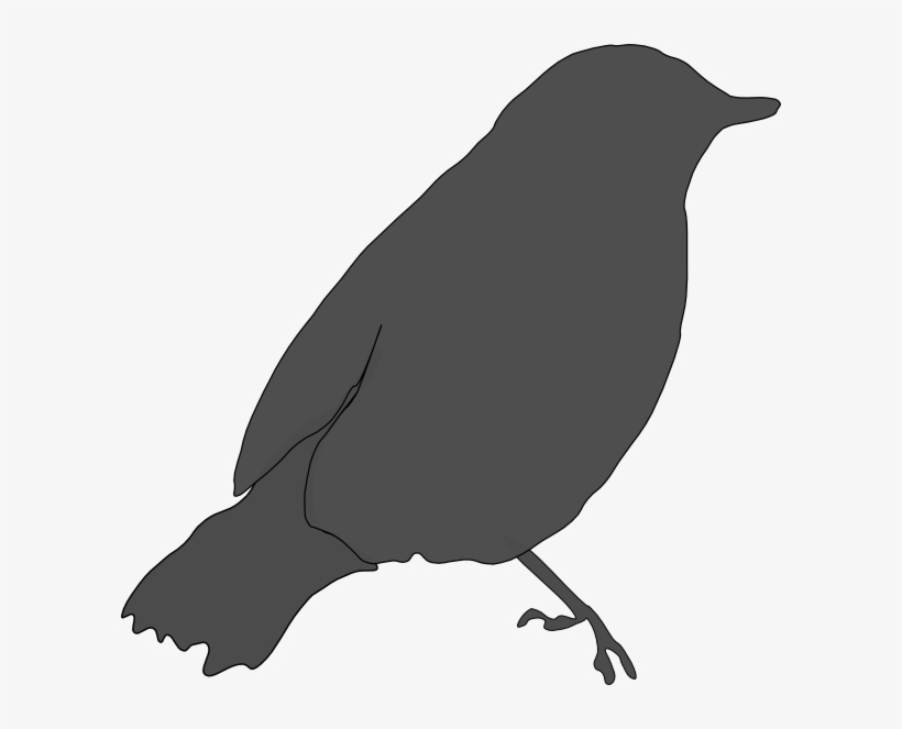 How To Set Use Gray Bird Svg Vector, transparent png