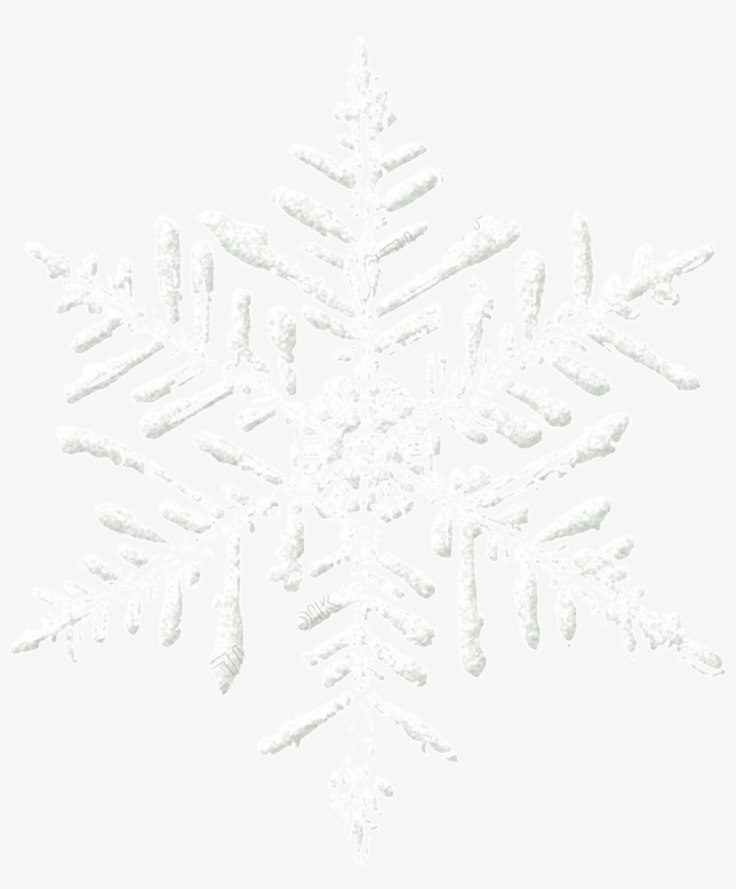 White Snowflake Png - Wilson Bentley Snowflake, transparent png