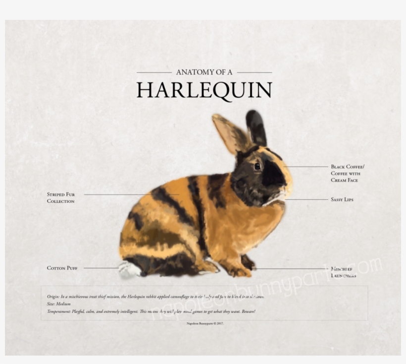 Quail Distributing, transparent png