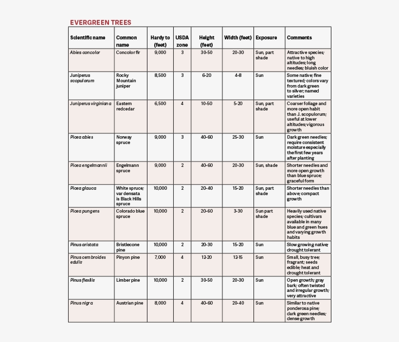 Table - List Of All The Trees, transparent png
