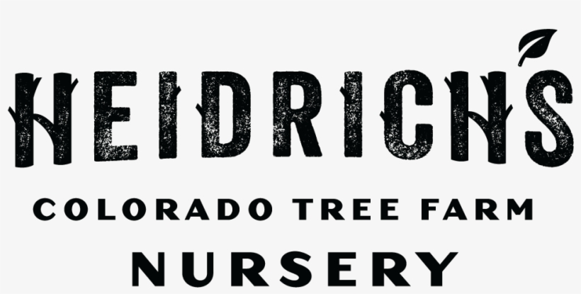 Find The Right Plant - Times Modern Font Download, transparent png