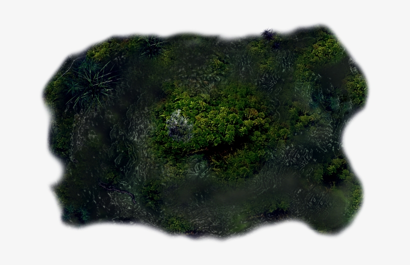 06 Feb 2009 - Moss, transparent png