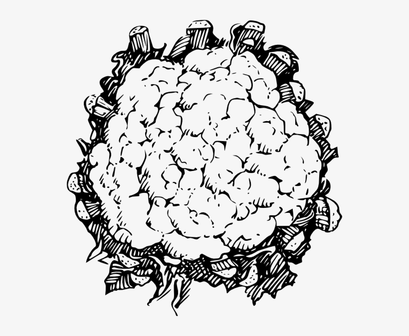 Cauliflower Svg Clip Arts 552 X 594 Px, transparent png