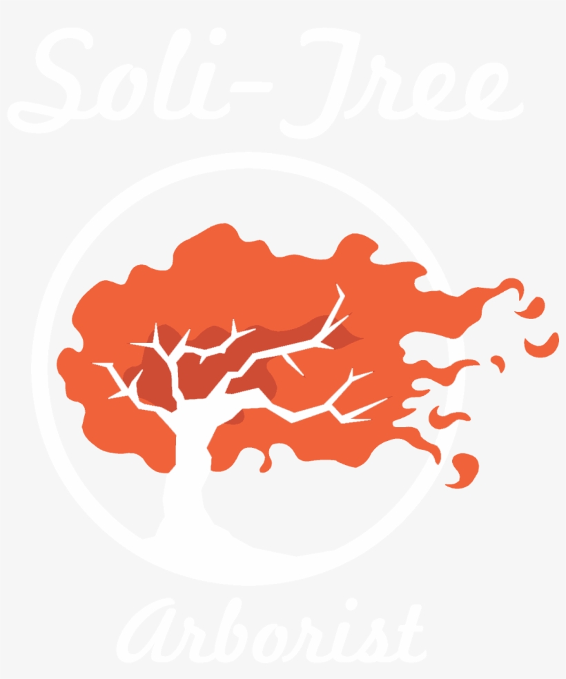 Soli-tree Logo - Abc Herron Tree Llc, transparent png