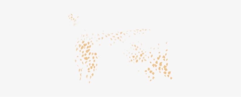 Stencil, transparent png