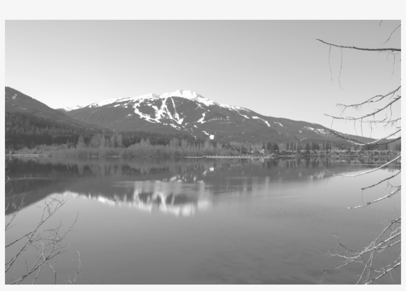 Banner Photo Screened, transparent png