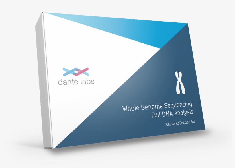 My Full Dna - Triangle, transparent png