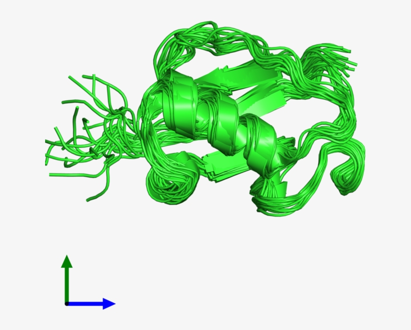 Ribbon Structure Of 2l3z Illustration 800x800 PNG Download PNGkit
