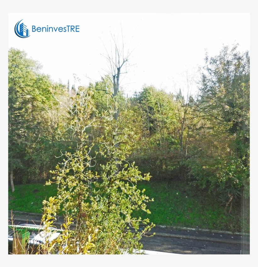 Foto/1514786f 272999 Vendita Appartamento Firenze Zona - River Birch, transparent png