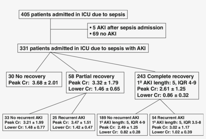 Critical Care Flow Chart Awesome Flow Chart Of The - Number, transparent png