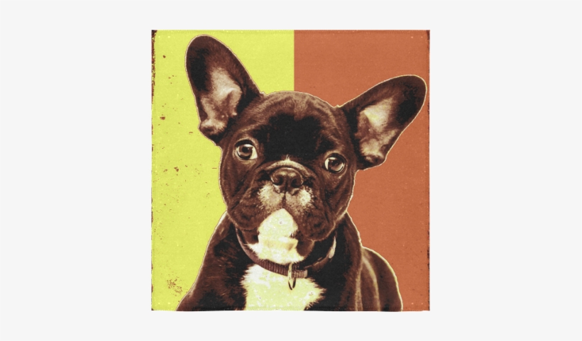French Bulldog, transparent png