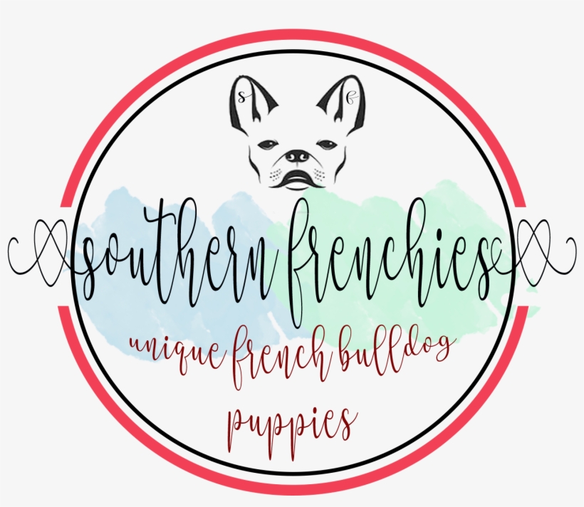 French Bulldog, transparent png