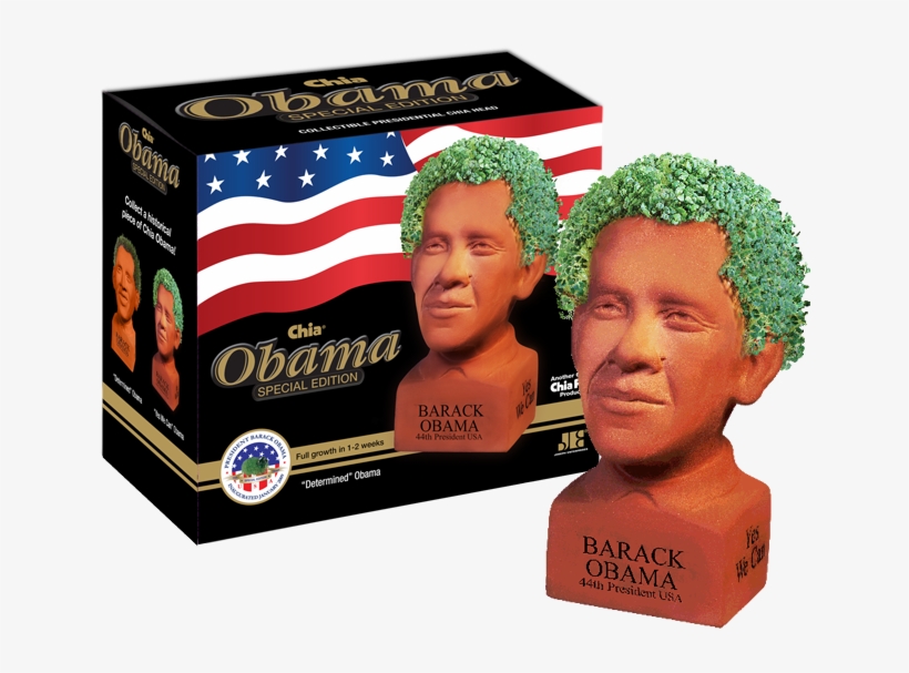 Can George W - Chia Obama, transparent png