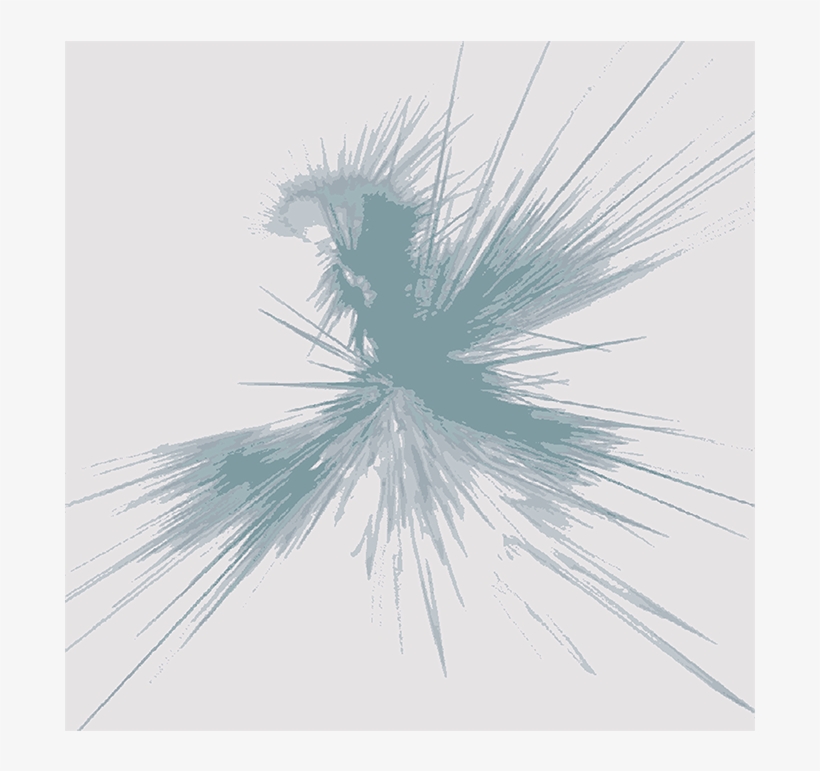 Pond Pine, transparent png