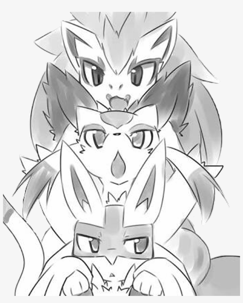 Pokemon Pocketmonsters Pocket Monsters Zoroark Lucario - Pokemon Fusion Lucaeio And Zoroark, transparent png