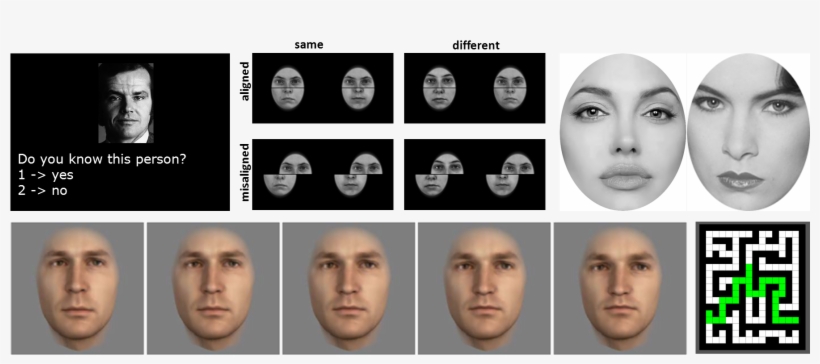 Face Blindness Test Bbc - Collage, transparent png
