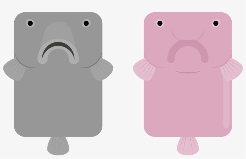 Animal - Iphone, transparent png