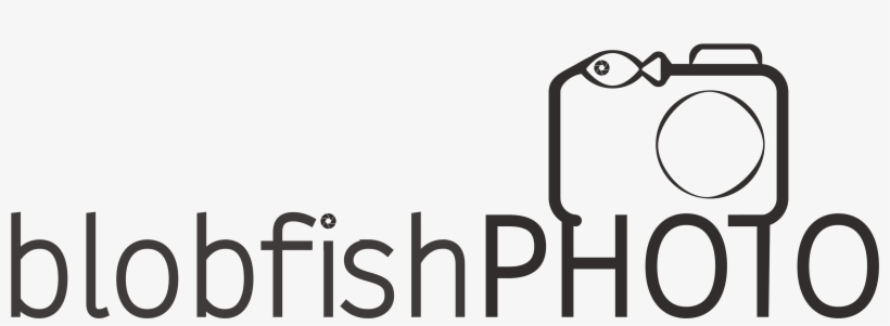 Logo Design - Graphics, transparent png