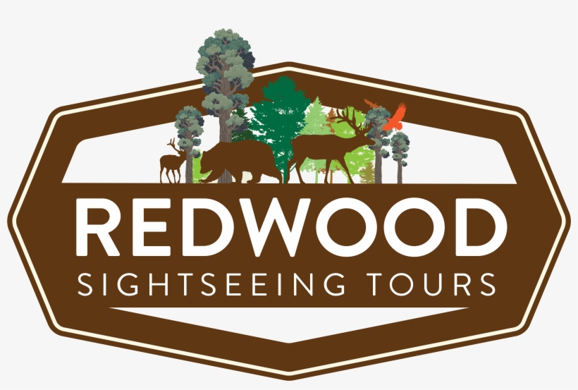 Redwood Sightseeing Tours, transparent png