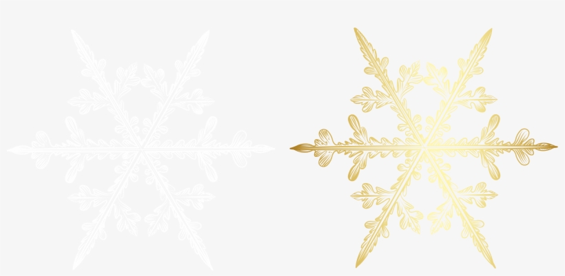 Motif, transparent png