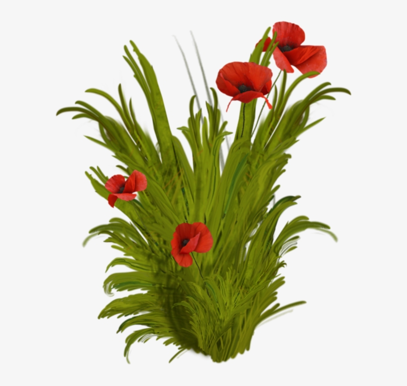 Flower Vase Png - Buon Compleanno Giada Gif, transparent png