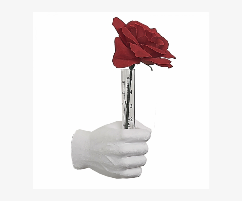 White Flower Vase Grip Hand 7" Long - Maple Leaf, transparent png