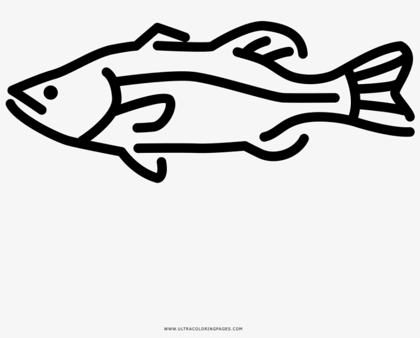 Largemouth Bass Coloring Page - Line Art, transparent png