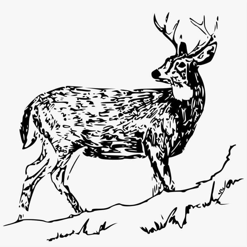 This Free Icons Png Design Of White Tail Deer 2, transparent png