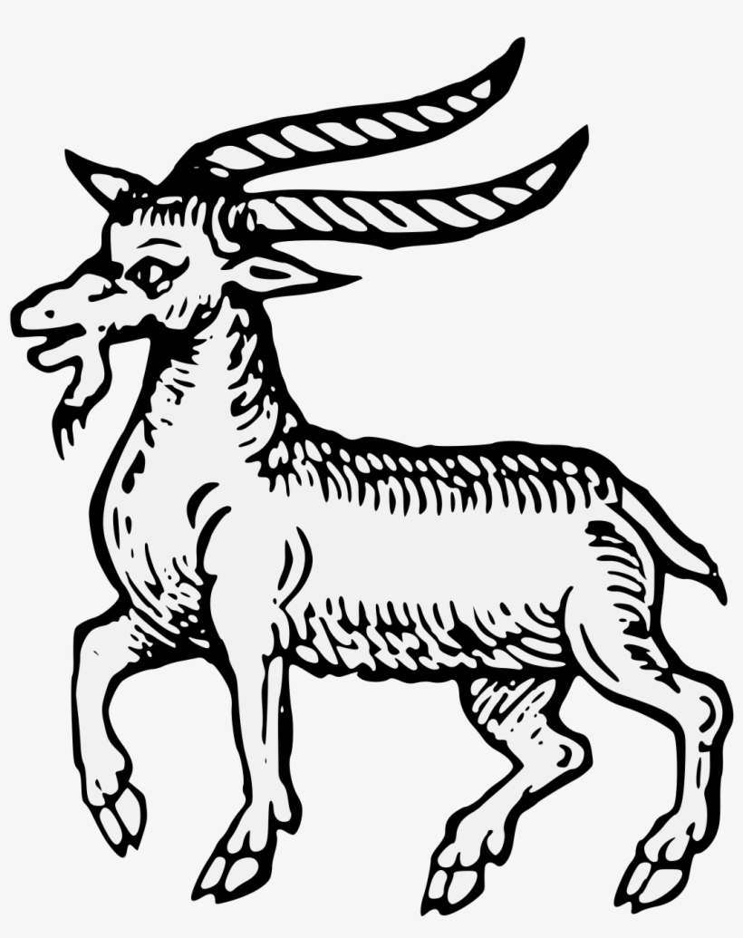 Details, Png - Illustration, transparent png