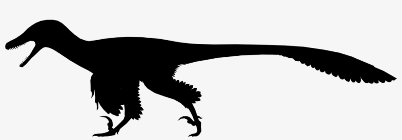 Simple Dinosaur Silhouette - Dromaeosaur Silhouette, transparent png