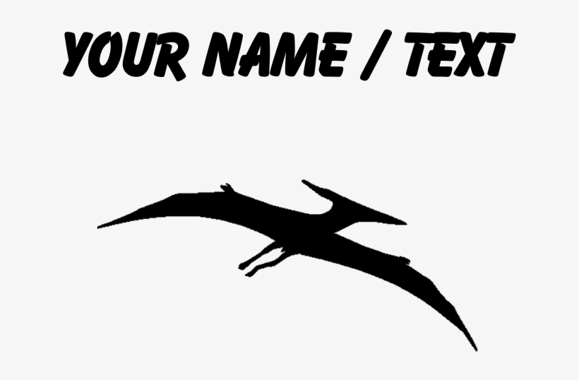 Favorite - Bird, transparent png