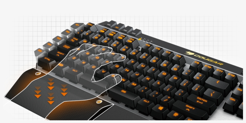 In The Right Position To Access Both The Wasd Keys, transparent png