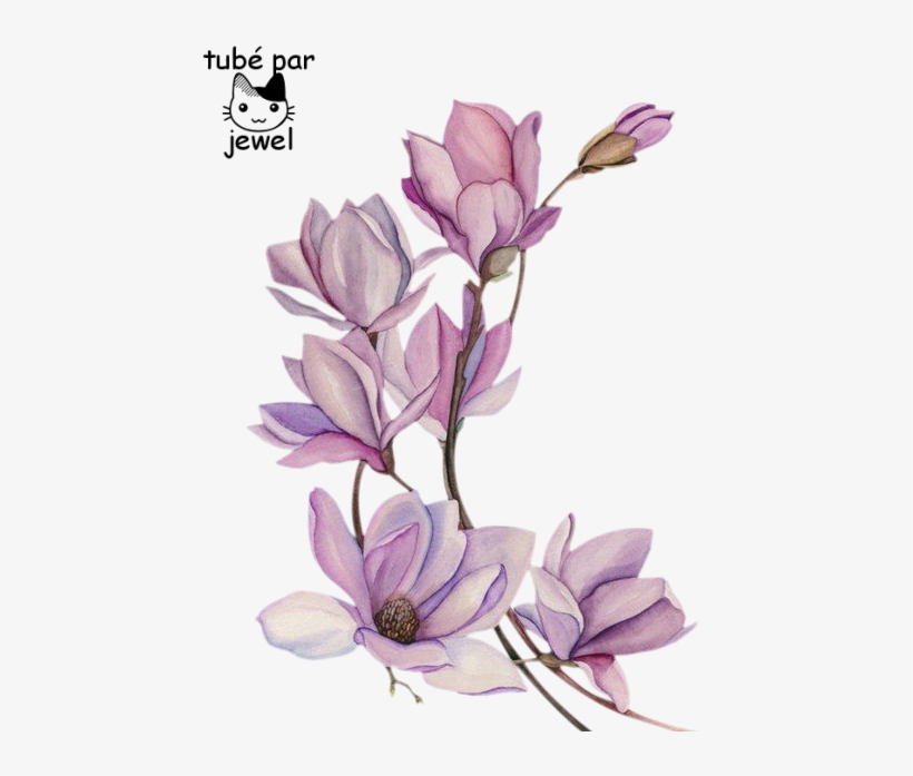 Tattoo Flower Watercolour Watercolor Flowers Painting - Flor De Magnolia Tatuaje, transparent png