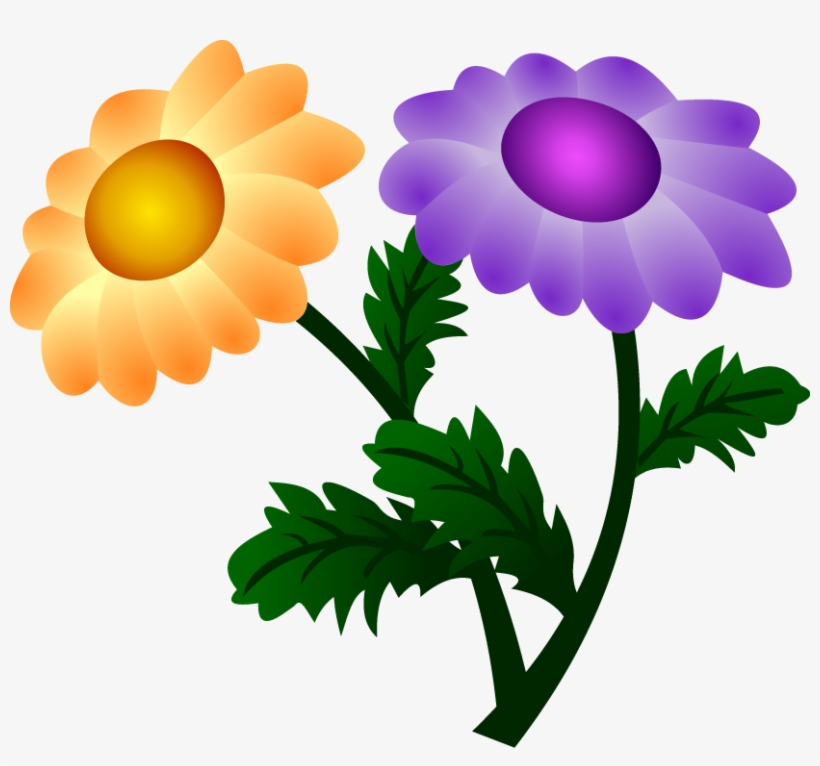 Vector Chrysanthemum - Flores Com Duas Cores, transparent png