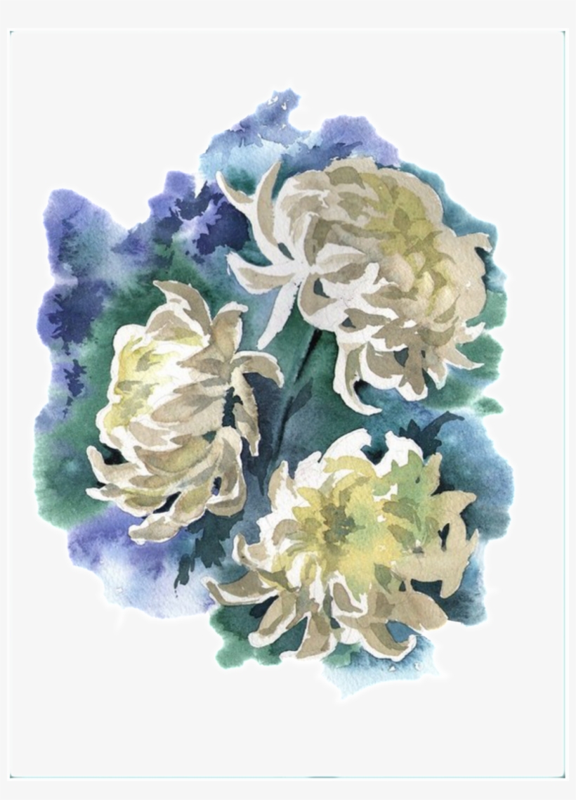 Fresh Ink Painting Hand Painted Chrysanthemum Decorative - Хризантемы Акварелью, transparent png
