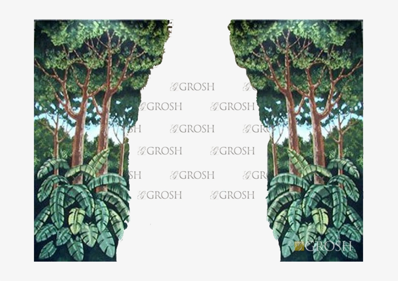 Account Login - Canoe Birch, transparent png