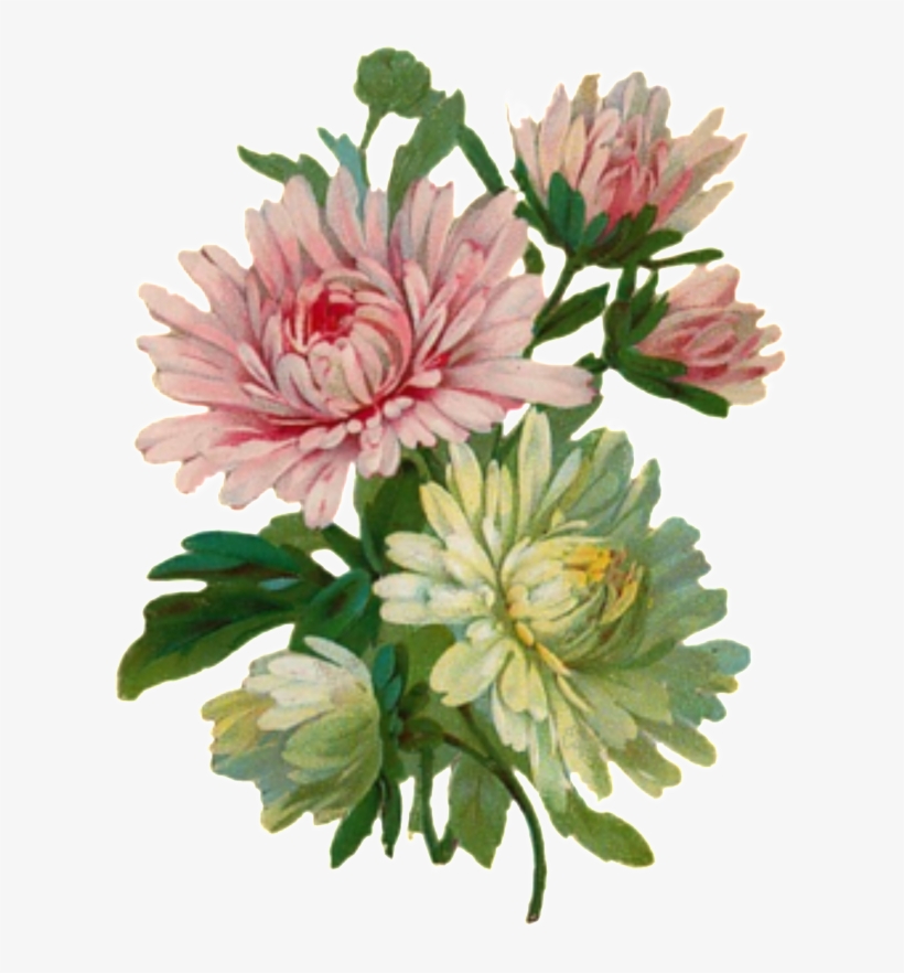 Svg Transparent Stock Cartoon Hand - Transparent Clipart Vintage Flowers, transparent png