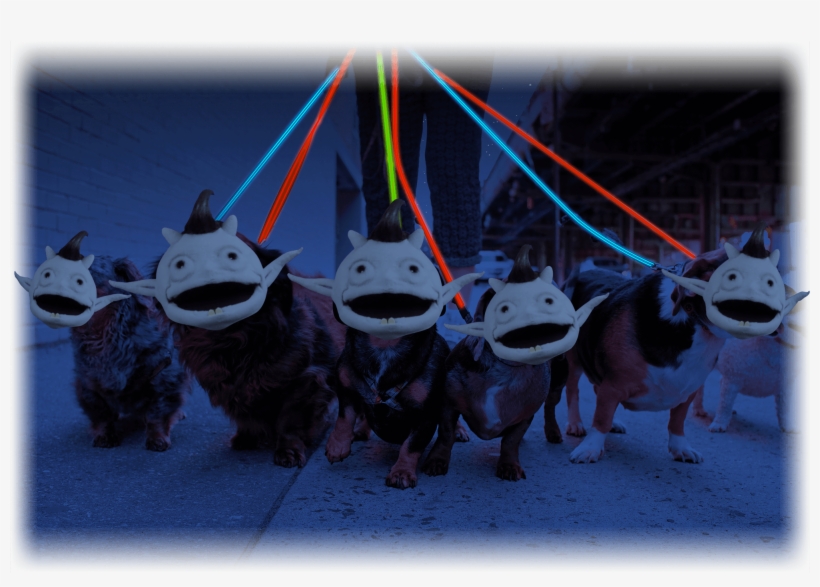 In The Yard, With Bright Red Light - Promeneur De Chiens, transparent png