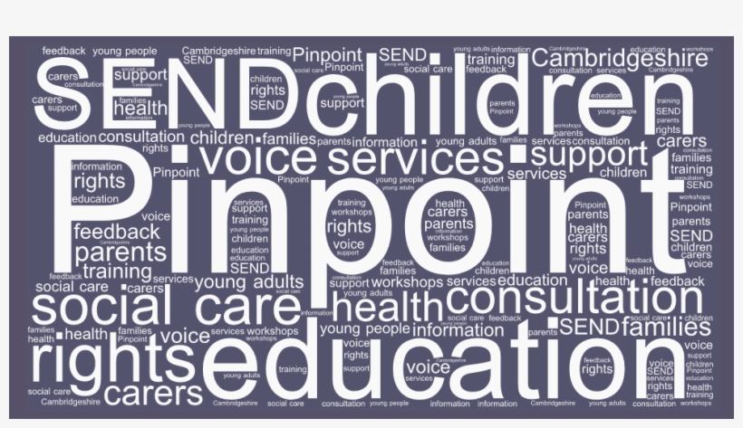 Special Needs Word Cloud - Striving For Excellence, transparent png