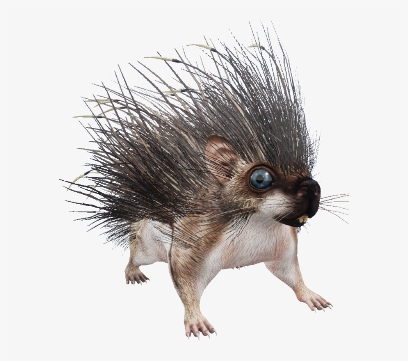 Living Bouquet - Punxsutawney Phil, transparent png
