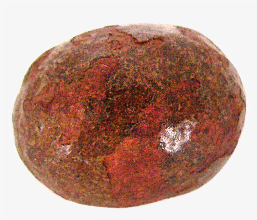 28 Am 274930 Grassbezoar 8/22/2016 - Avocado, transparent png