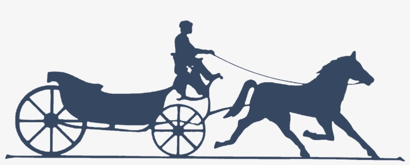 Stallion, transparent png