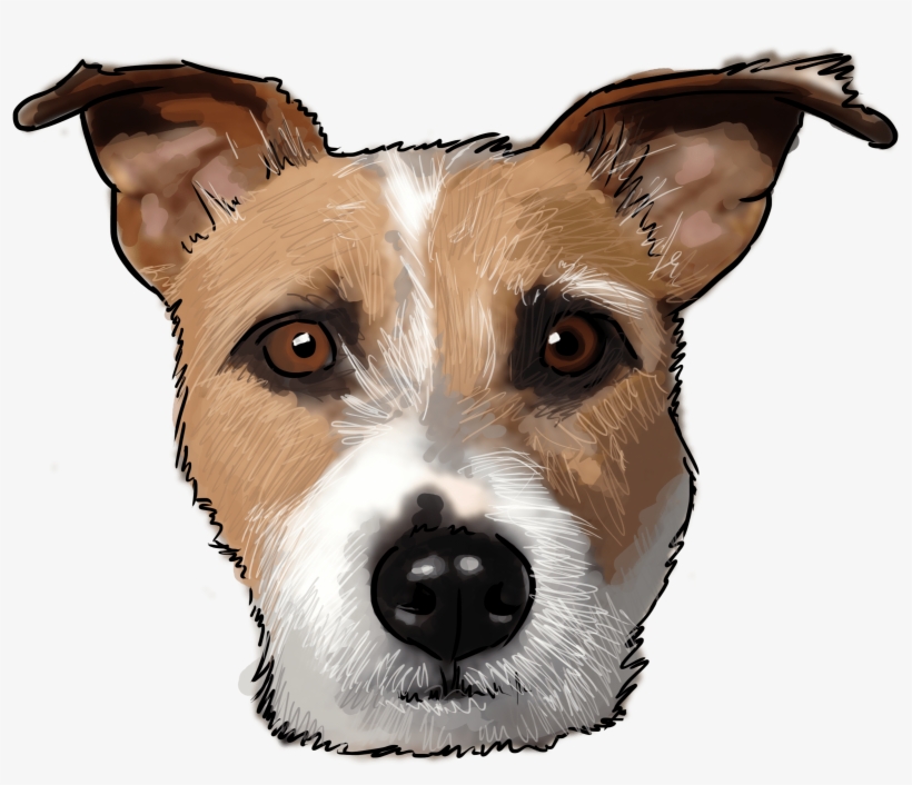 Why Does He Have A Dog Names After Him” Well, We're - Jack Russell Terrier, transparent png