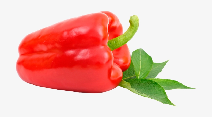 Plc Agro - Pimiento Morron Rojo Png, transparent png
